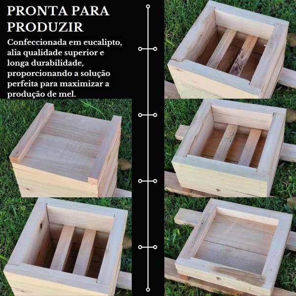 2 Caixas Inpa Abelhas Mandaçaia 15x15 + Atrativo 50 ML | Shopee Brasil