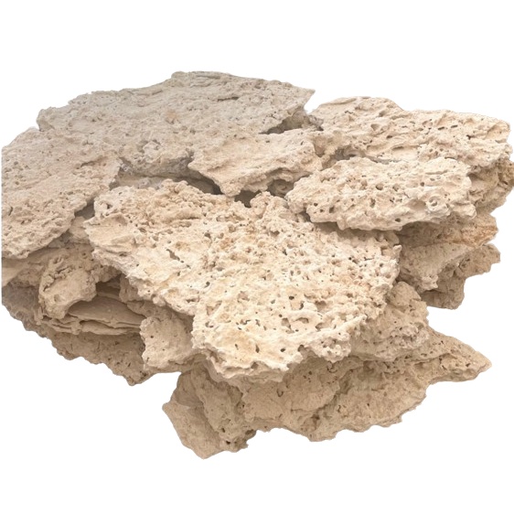 ROCHA MARCO ROCKS PREMIUM SHELF - 2KG (P/ AQUÁRIO MARINHO) | Shopee Brasil