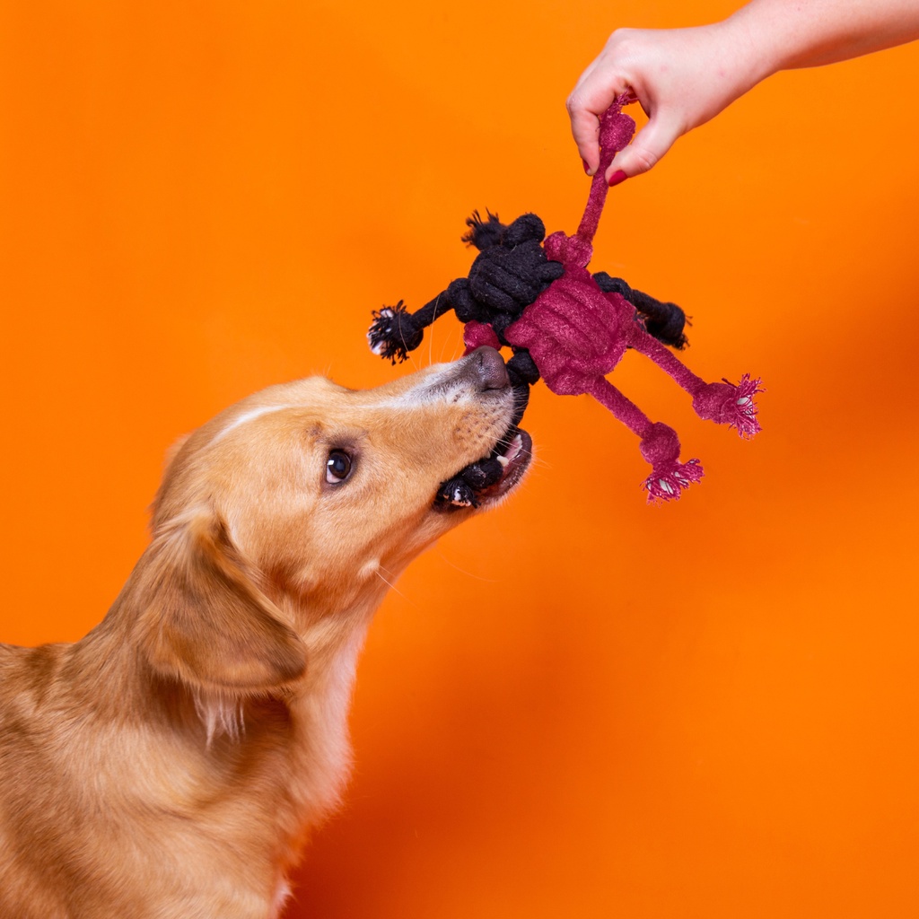 Mordedor Com Corda Dona Aranha Brinquedo Cachorro Petiko