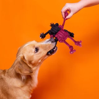 Mordedor Com Corda Dona Aranha Brinquedo Cachorro Petiko