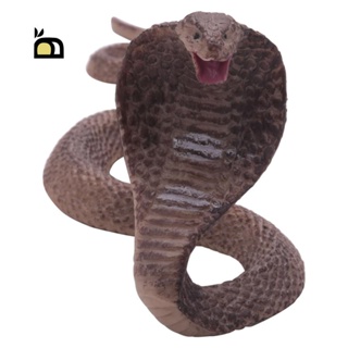 cabeca de cobra em Promoção na Shopee Brasil 2023