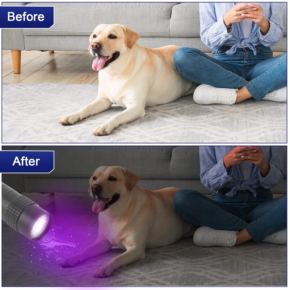 Lanterna Luz Led Negra Ultra Violeta Uv Detecta Nota Urina Gato
