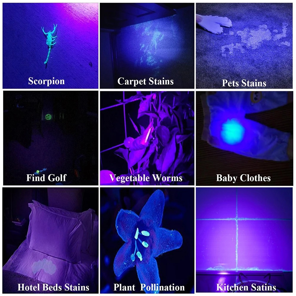 Lanterna Luz Led Negra Ultra Violeta Uv Detecta Nota Urina Gato