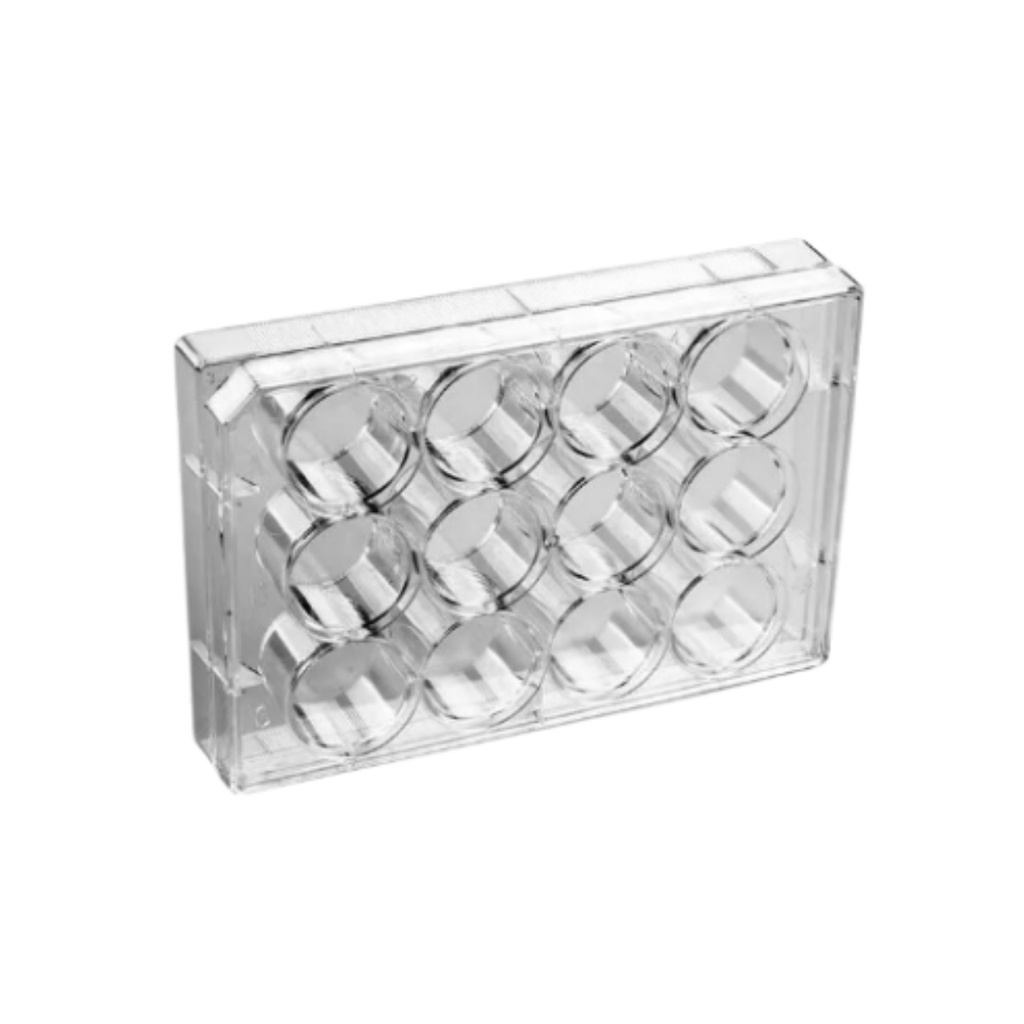 Placa Para Cultivo De Células 12 Poços Fundo Chato | Shopee Brasil