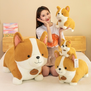 Corgi teddy hot sale