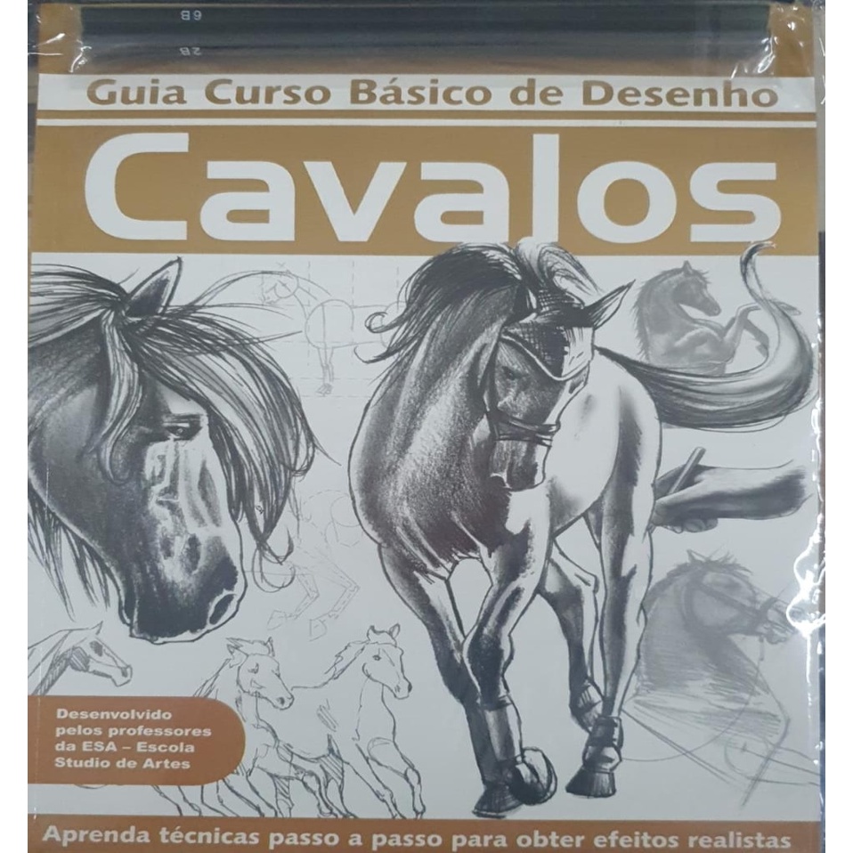 Guia Curso Básico de Desenho - Cavalos eBook : Editora, On Line, On Line  Editora: .com.br: Livros