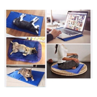 Tapete Refrescante Gelado Para Cachorro Gato Cão 50cm X 40cm