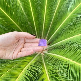 Mini Pirâmide Ametista - Transmutação e Espiritualidade