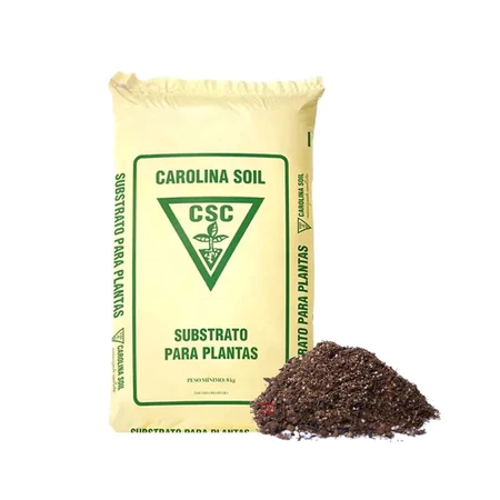 melhores substratos para Zamioculca