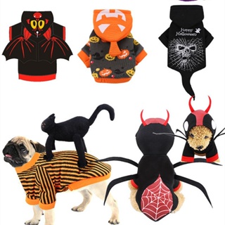 Coleção De Bonecas Fofas De Bruxa Halloween E Mascote De Gato Fofo