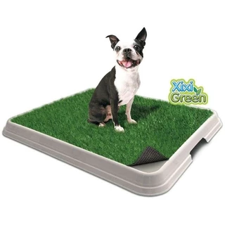 Sanitário Higiênico Permanente XiXi Green Pet Injet Para Cães 50x48cm