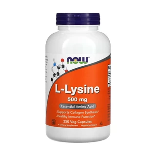 L-lisina 500mg Now Foods L-Lysine 250 Veg Caps Importado