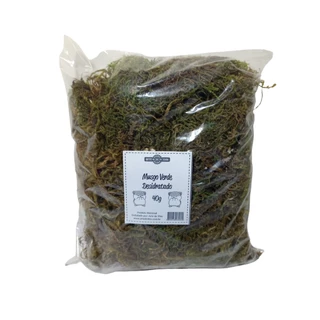 Musgo Verde Desidratado Natural para Roedores Hamsters Terrarios Flores Jardim