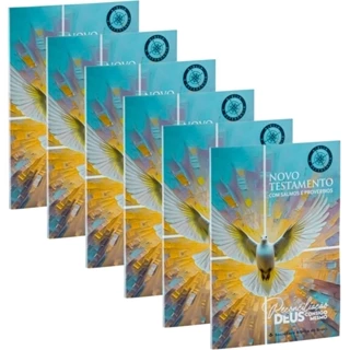 Kit 6 Livros Novo Testamento | A Referência com Salmos e Provérbios em Oferta na Shopee