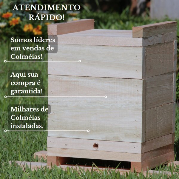2 Caixas Inpa Abelhas Mandaçaia 15x15 + Atrativo 50 ML | Shopee Brasil
