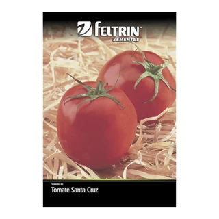 Sementes de Tomate Santa Cruz Gigante Feltrin 400mg - Embalagem com 25 Unidades