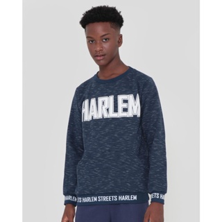 Blusão Moletom Juvenil Flamê Estampa Harlem Azul Marinho