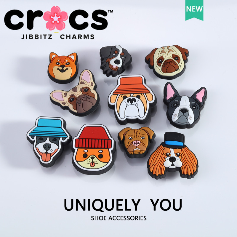 Dog crocs deals jibbitz