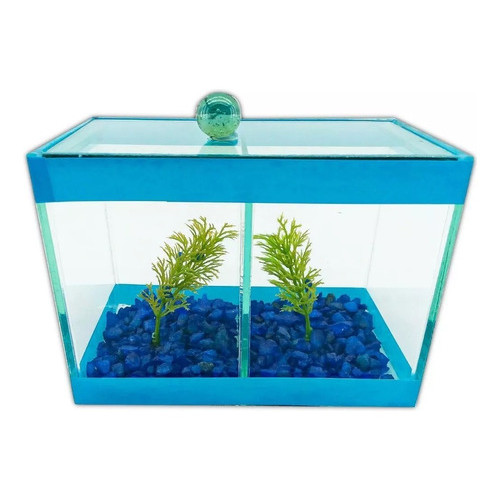 Aquário Decorado Duplo 20x10x15 Cm 3l 2 Peixes Beteira | Shopee Brasil