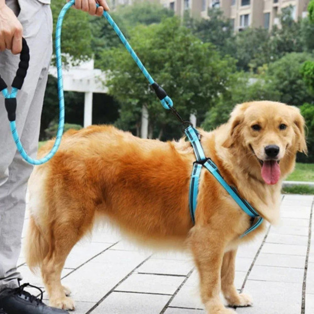 Guia De Passeio Corda Reforçada Para Cachorro Porte Médio E Grande 1 ...
