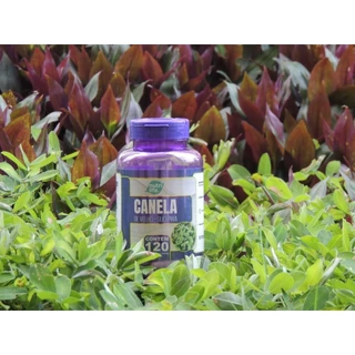 3 UN CANELA DE VELHO COM SUCUPIRA 120 CAPSULAS 500MG