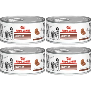 Recovery 195g - Royal Canin - 4 Unidades