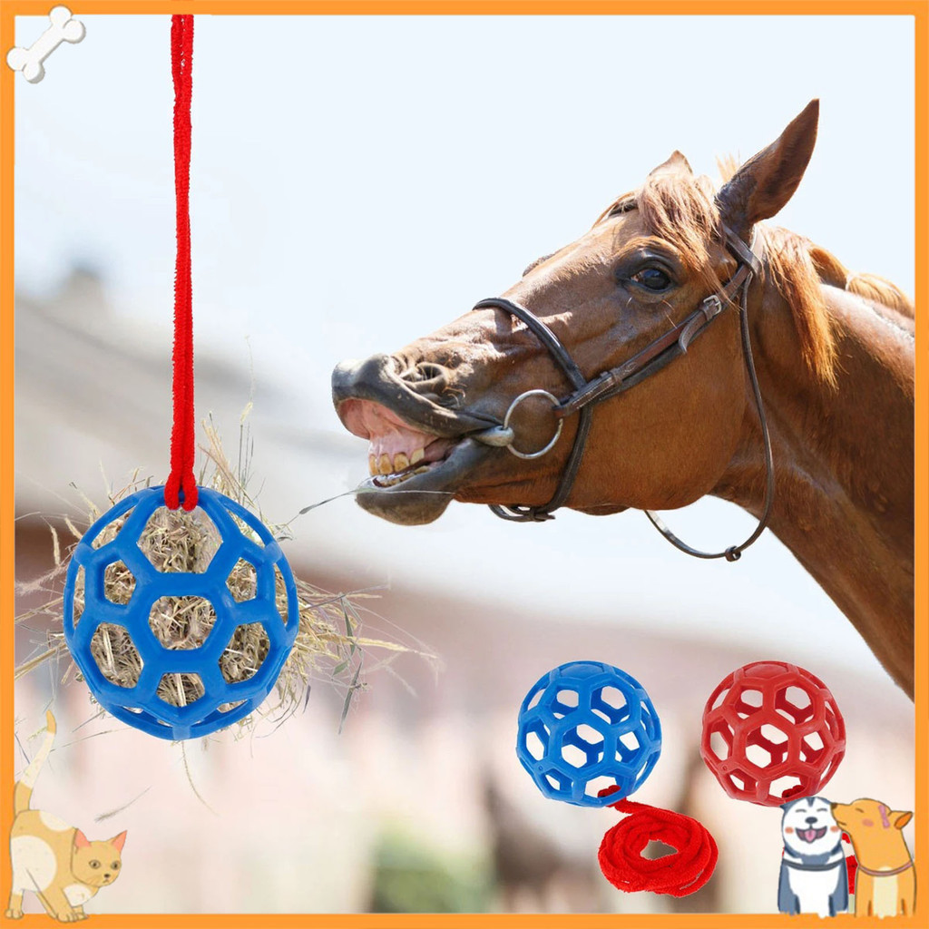 Comedouro De Cavalo Bola Alimentadora De Cabra Durável Interativa De Capim  Seco Lenta Pendurada Para Animais | Shopee Brasil