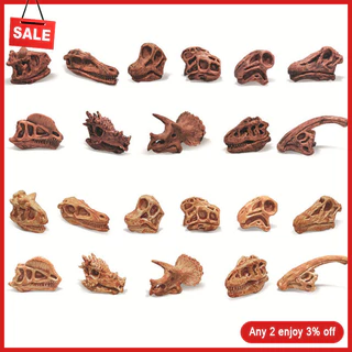 ABB Dinossauro Skull Fossil Modelo De Brinquedos Fósseis Pré-Históricos Mamíferos Ossos Figura Doll Toys For Collection Home Decor