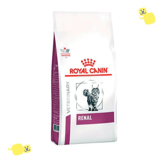 Alimento Royal Canin Renal Gatos Adultos 10,1kg Proteína Bruta 21% Veterinary Saudável Cat Felino