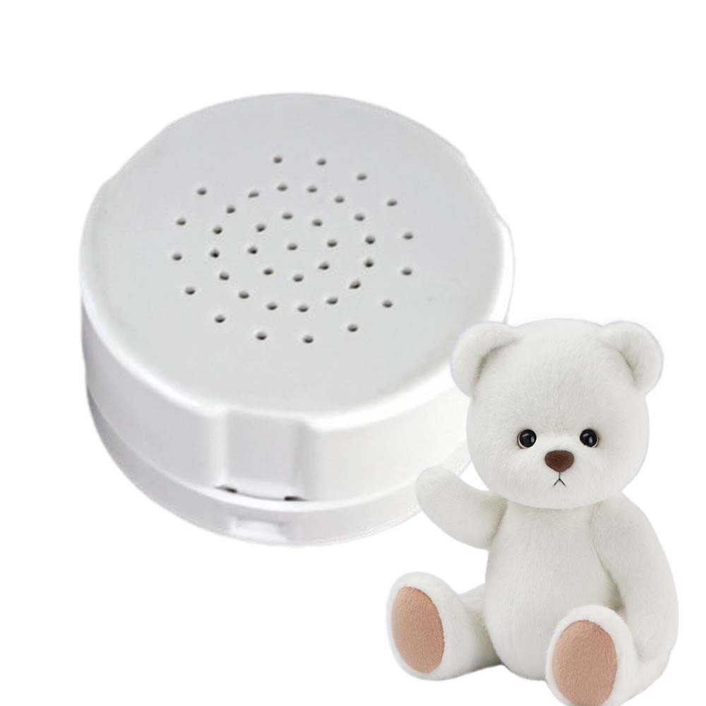 Teddy bear 2024 with recording