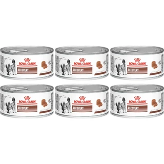 Recovery 195g - Royal Canin - 6 Unidades