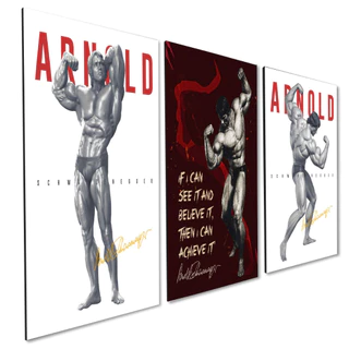 Kit 3 Quadros Decorativos Academia Arnold Schwarzenegger Bodybuilder 20x28CM MDF