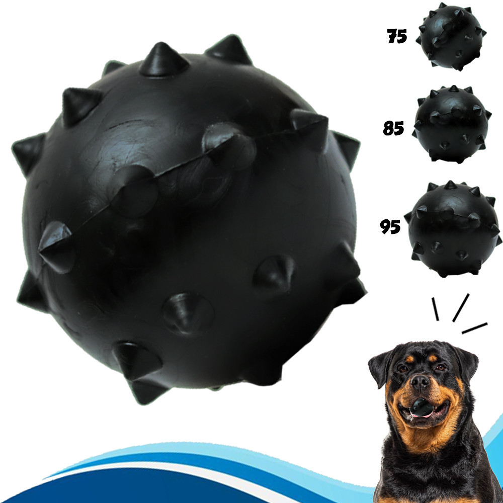 Bola Cravo Cães Maciça Resistente Bolinha Brinquedo para Cachorro Dura