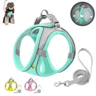 Reflexivo pectoral Para Turfar Conforto Colete De Luxo Com Guia Coleira de Cachorro Peitoral Trela Para Cães Cão Cachorros e Gatos Pet Colete Com Guia Malha de Náilon