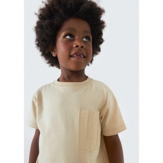 Camiseta Infantil Menino Toddler Com Estampa E Bolso Hering Kids