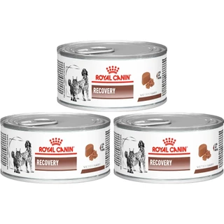 Recovery 195g - Royal Canin - 3 Unidades