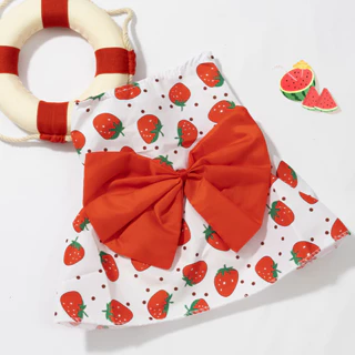 Cachorro de estimação Gato de estimação Primavera Verão Vestido Fofo Princesa Estilo Bela