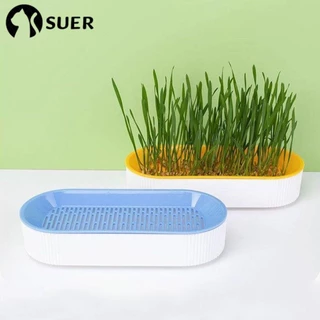 SUEBR Cat Caixa De Grama , Vaso De Cultivo Hidropônico PP Sem Solo Germinação Multifuncional Prato Com Broto