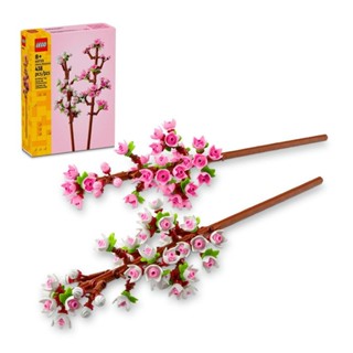 Flores de Cerejeira; Presente Comemorativo 40725