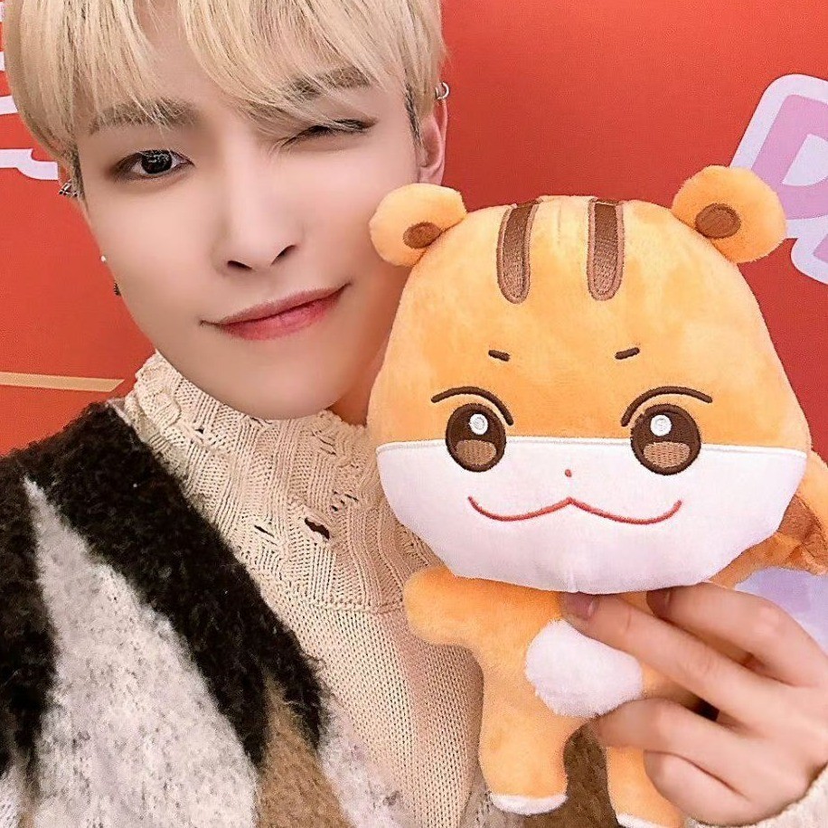 Kpop ATEEZ Boneca De Pelúcia Hongjoong Seonghwa Aniteez Flash Doll