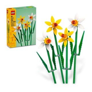 Narcisos; Presente Comemorativo 40747