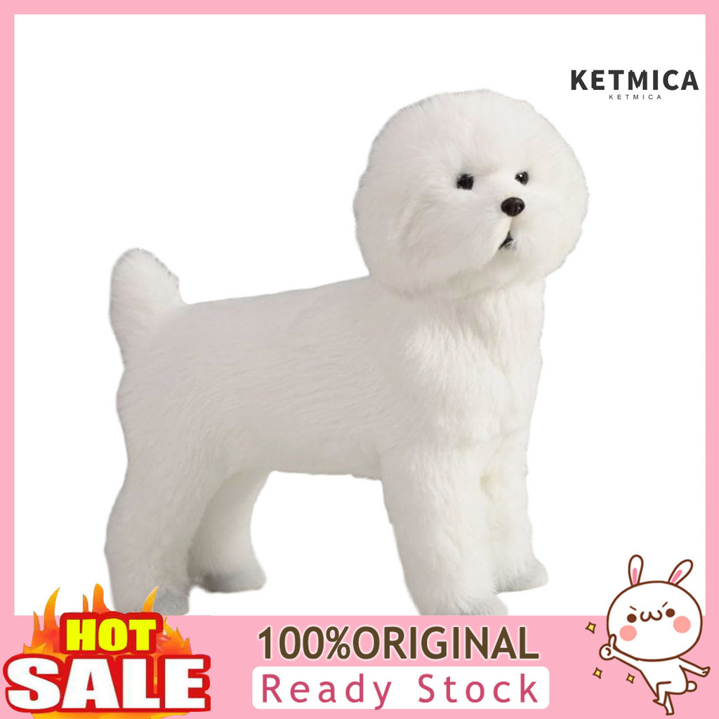 Bichon teddy hot sale