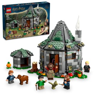 LEGO® Harry Potter™ Cabana do Hagrid: Uma Visita Inesperada 76428