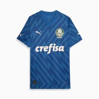 NOVIDADE!!! Camisa Camiseta NOVA do PALMEIRAS Modelo de GOLEIRO 2024 +PREÇO PROMOCIONAL.
