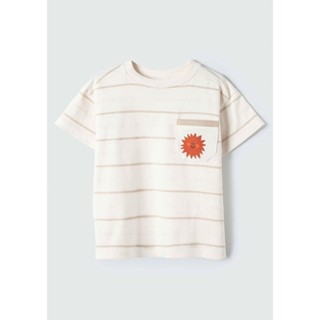 Camiseta Infantil Menino Listrada Em Fio Tinto Hering Kids