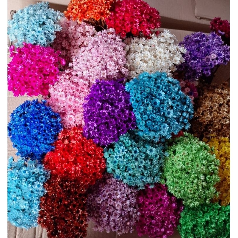 Flor sempre viva Premium, Kit com até 1.200 flores sempre vivas Várias cores