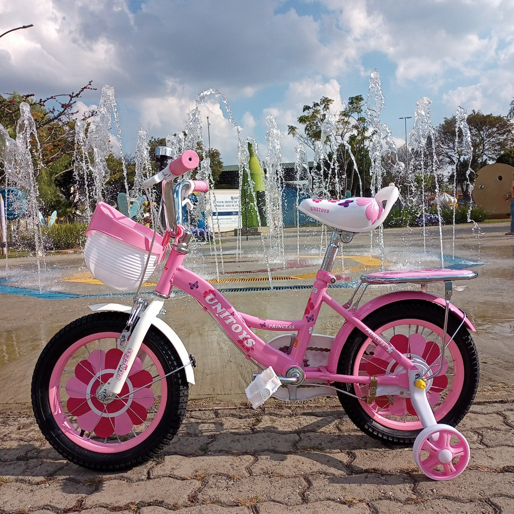 Bicicleta Infantil Feminina Rosa Princesa Aro 16 Menina