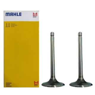 Valvula Admissao E Escape Cg Fan 125 2009 a 2018 Metal Leve