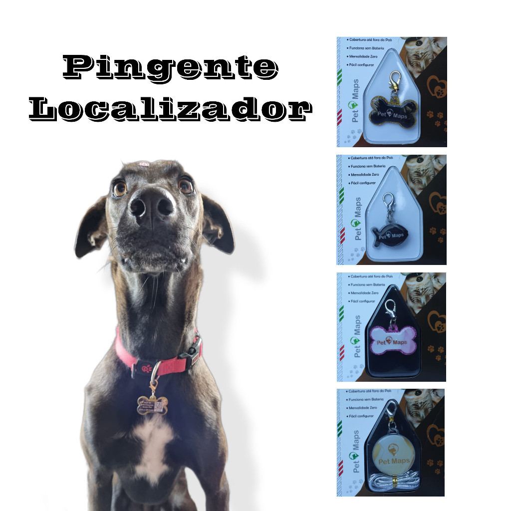 Pingente Localizador Com QR Code para Coleira Pet Maps | Shopee Brasil