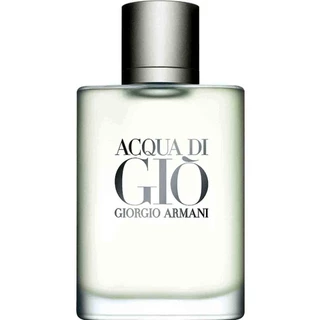 Perfume Acqua Di Gio Masculino Eau de Toilette 100ml